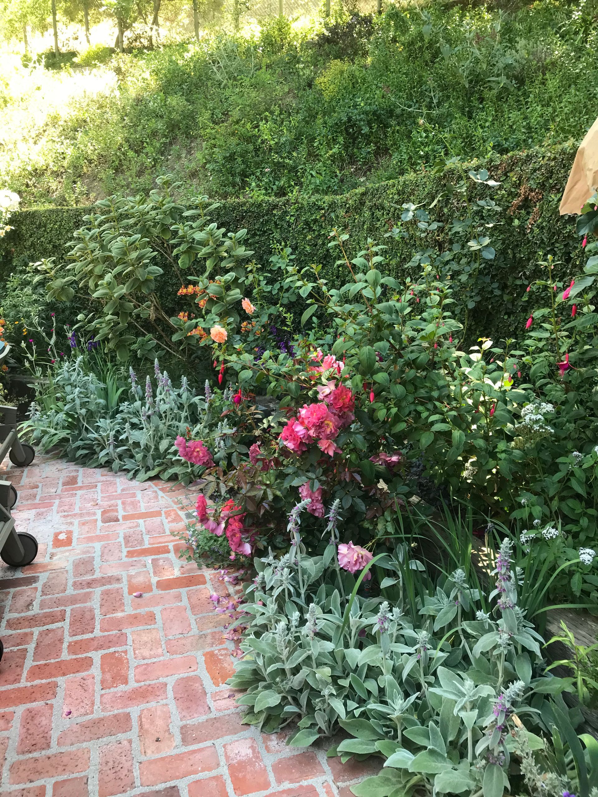 A brick walkway leading to a garden filled with lots of flowers and plants.