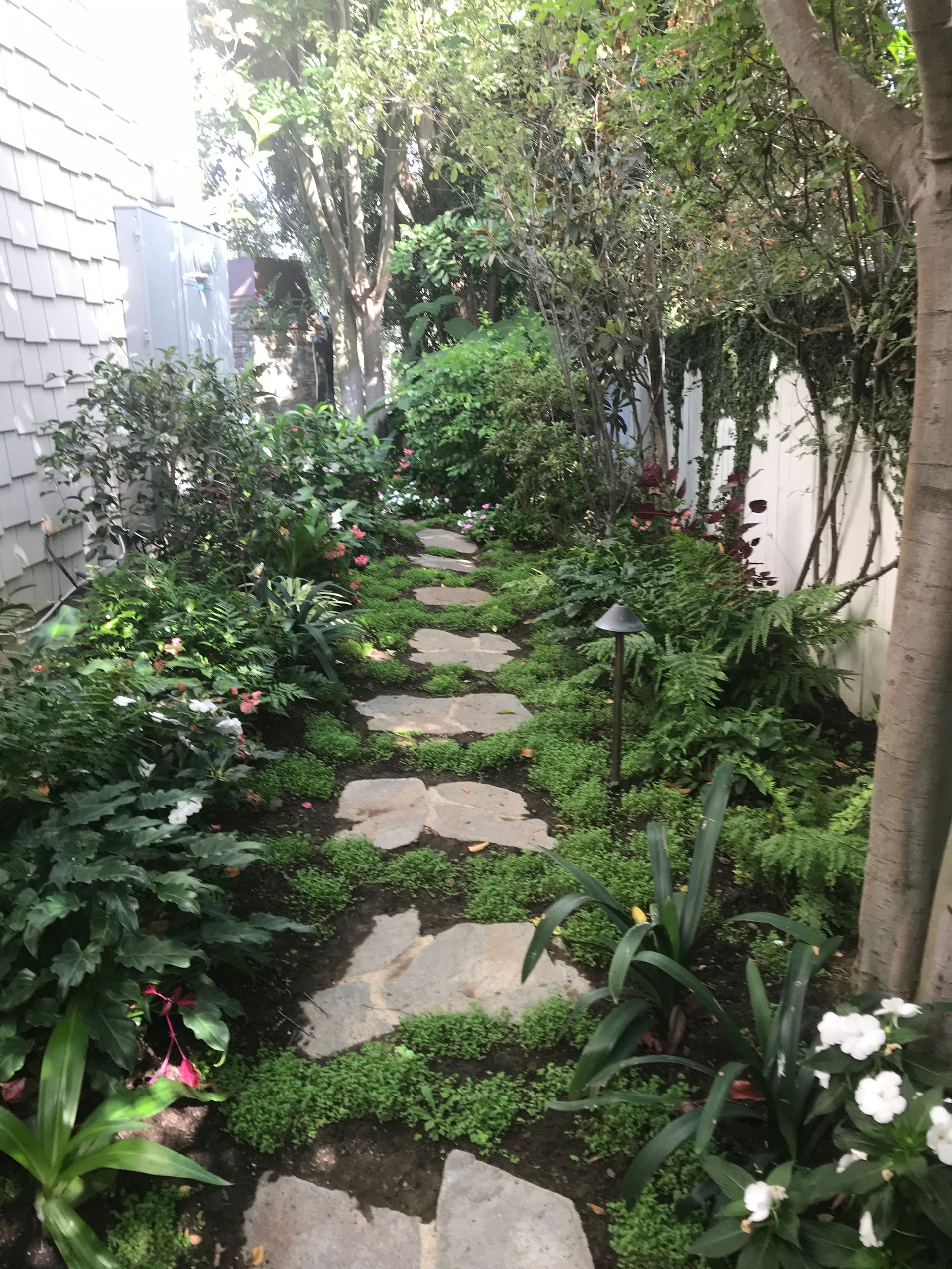 A stone path in a garden surrounded by trees and plants.