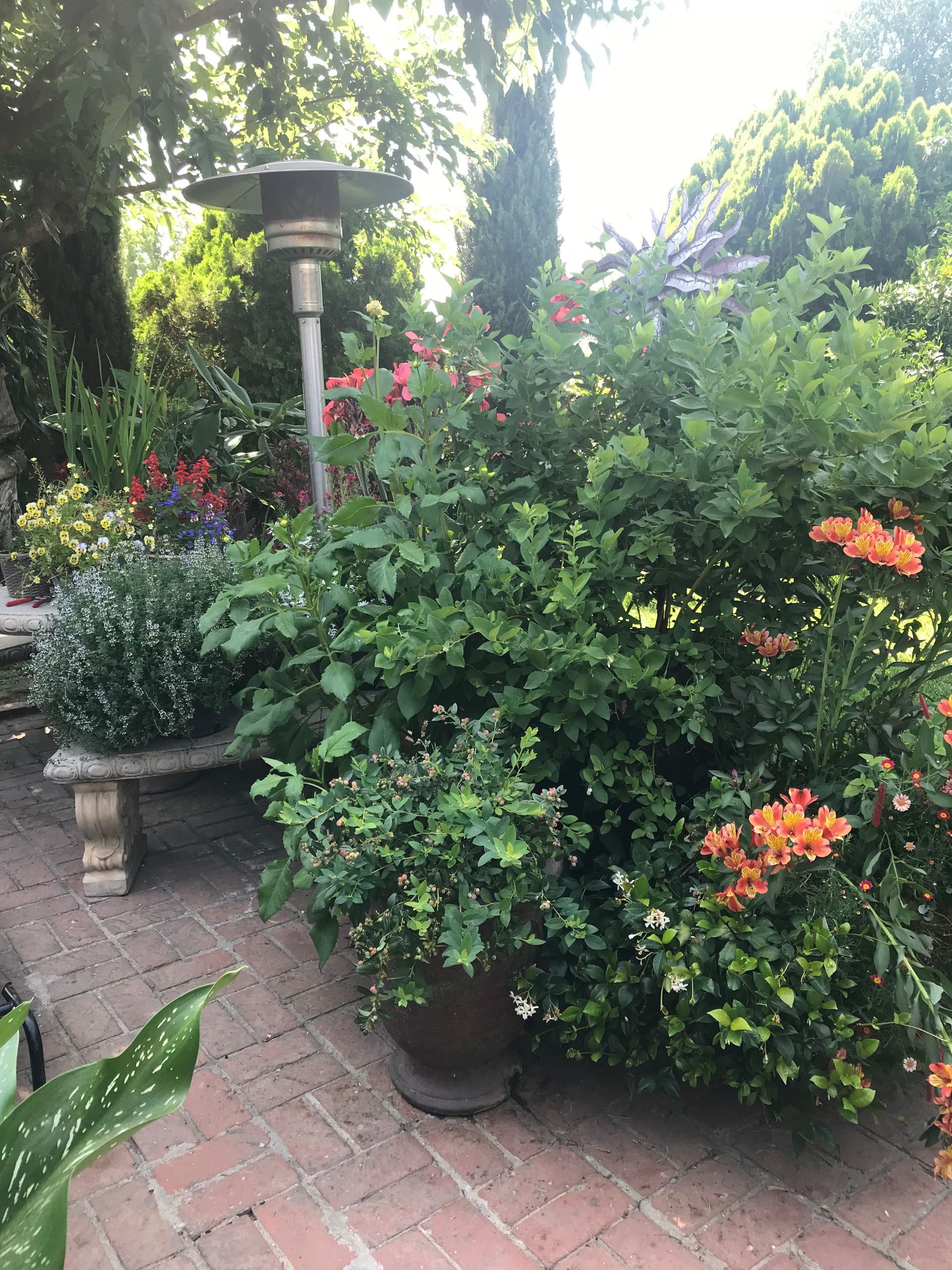 A patio with lots of plants and flowers and a heater.