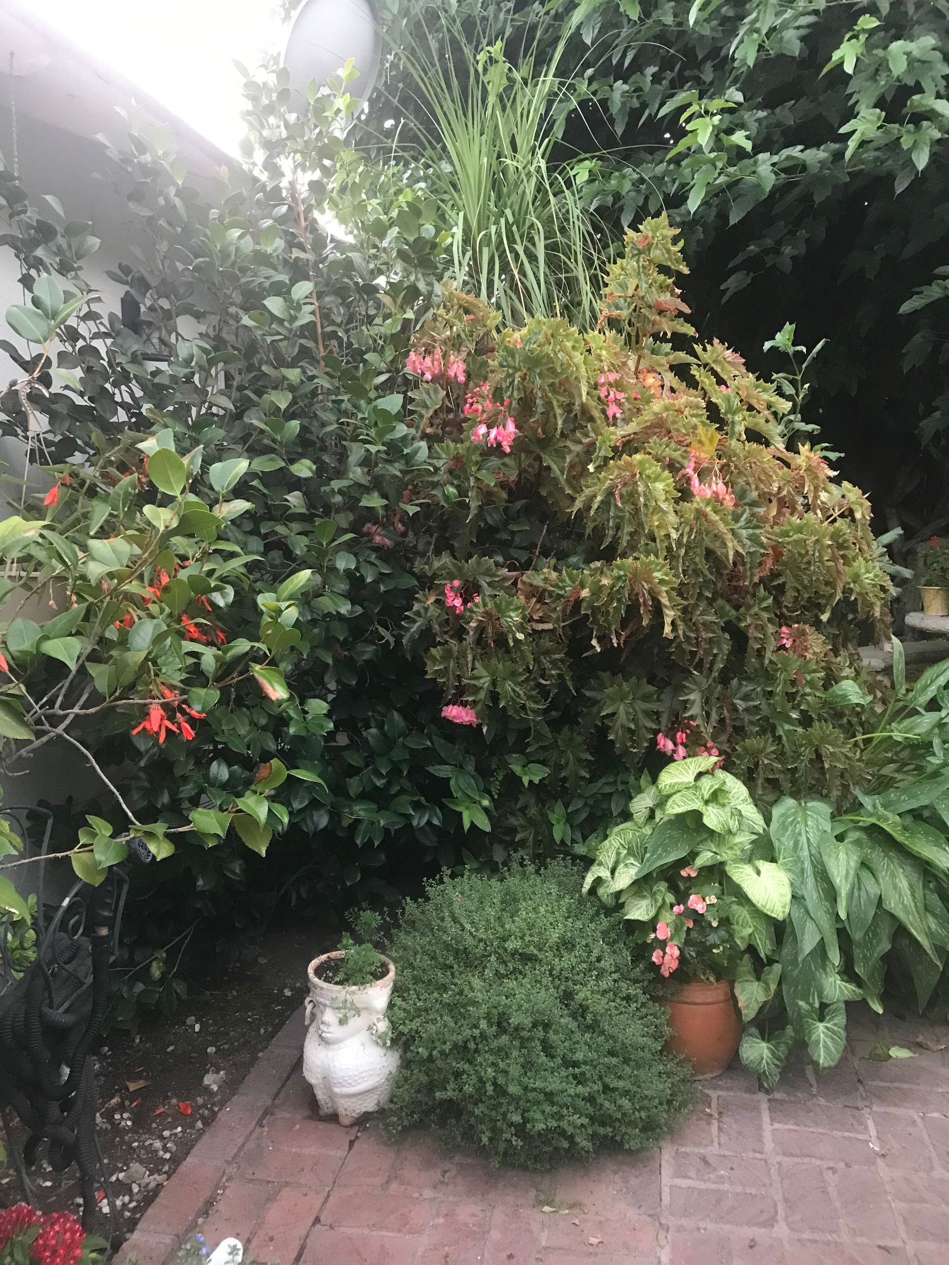 A brick walkway surrounded by lots of plants and flowers