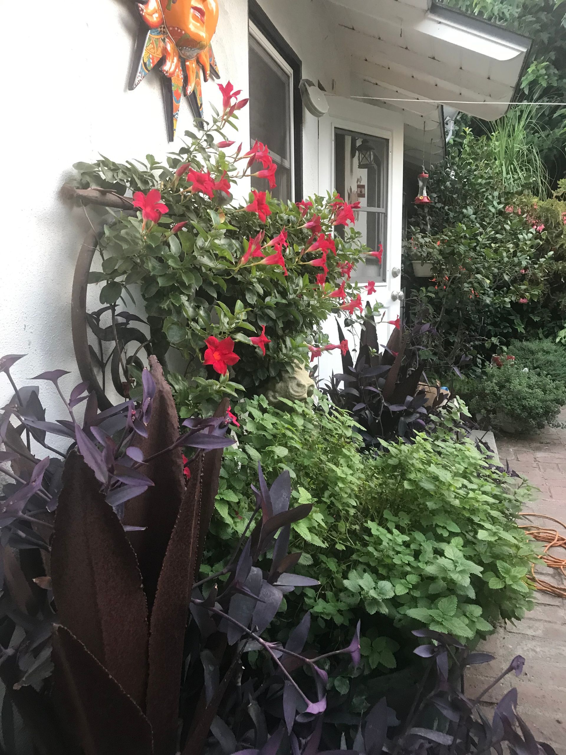 A white house with red flowers and green plants in front of it