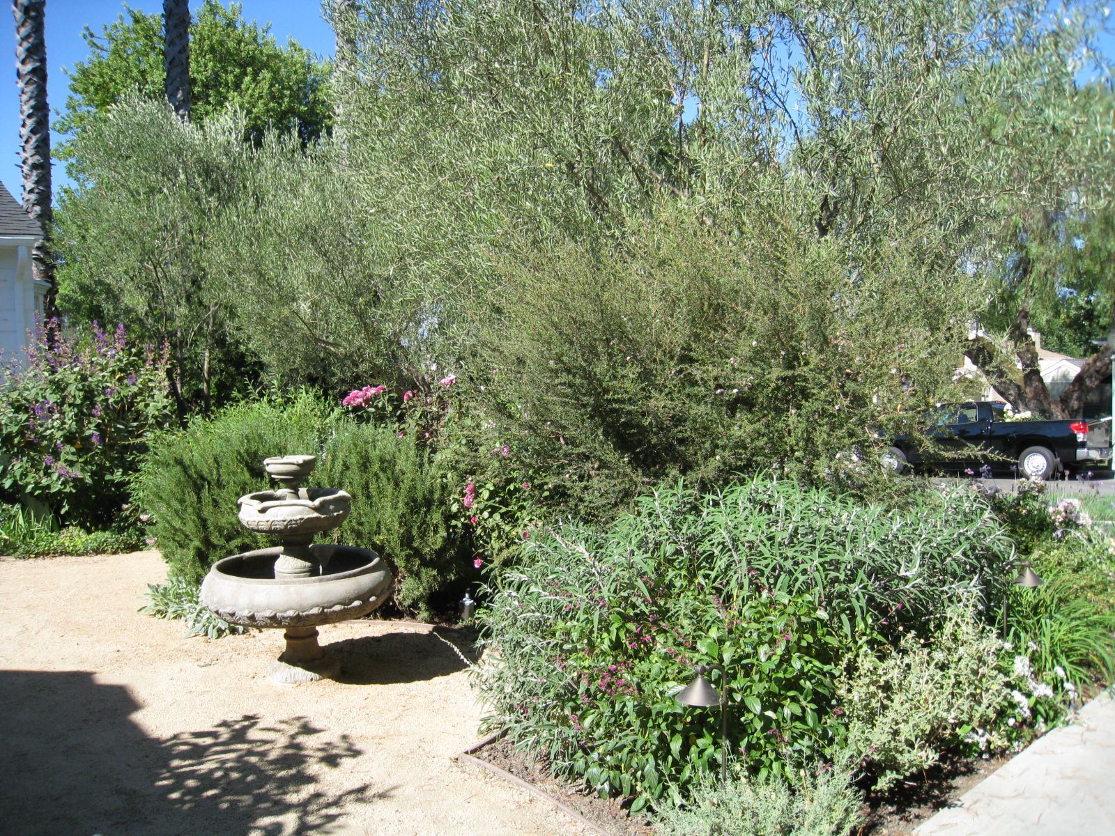 A garden with a fountain in the middle of it