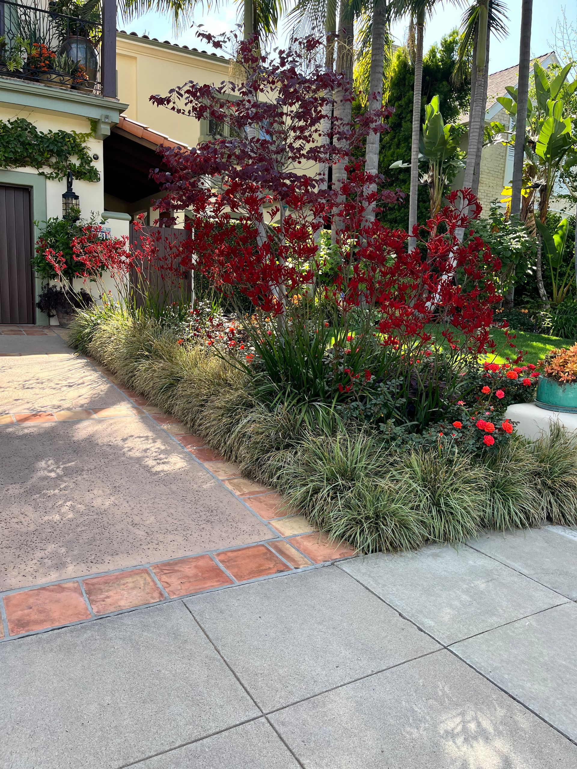 A driveway leading to a house surrounded by flowers and trees.