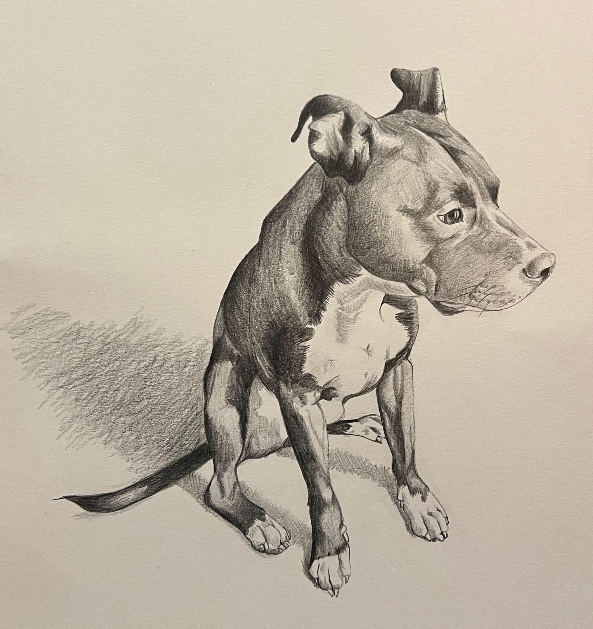 Loki