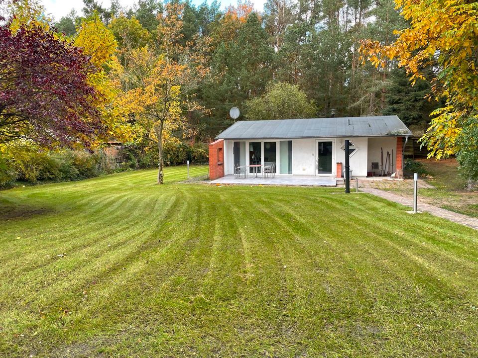 Ein Haus mit einer großen Wiese davor, umgeben von Bäumen.