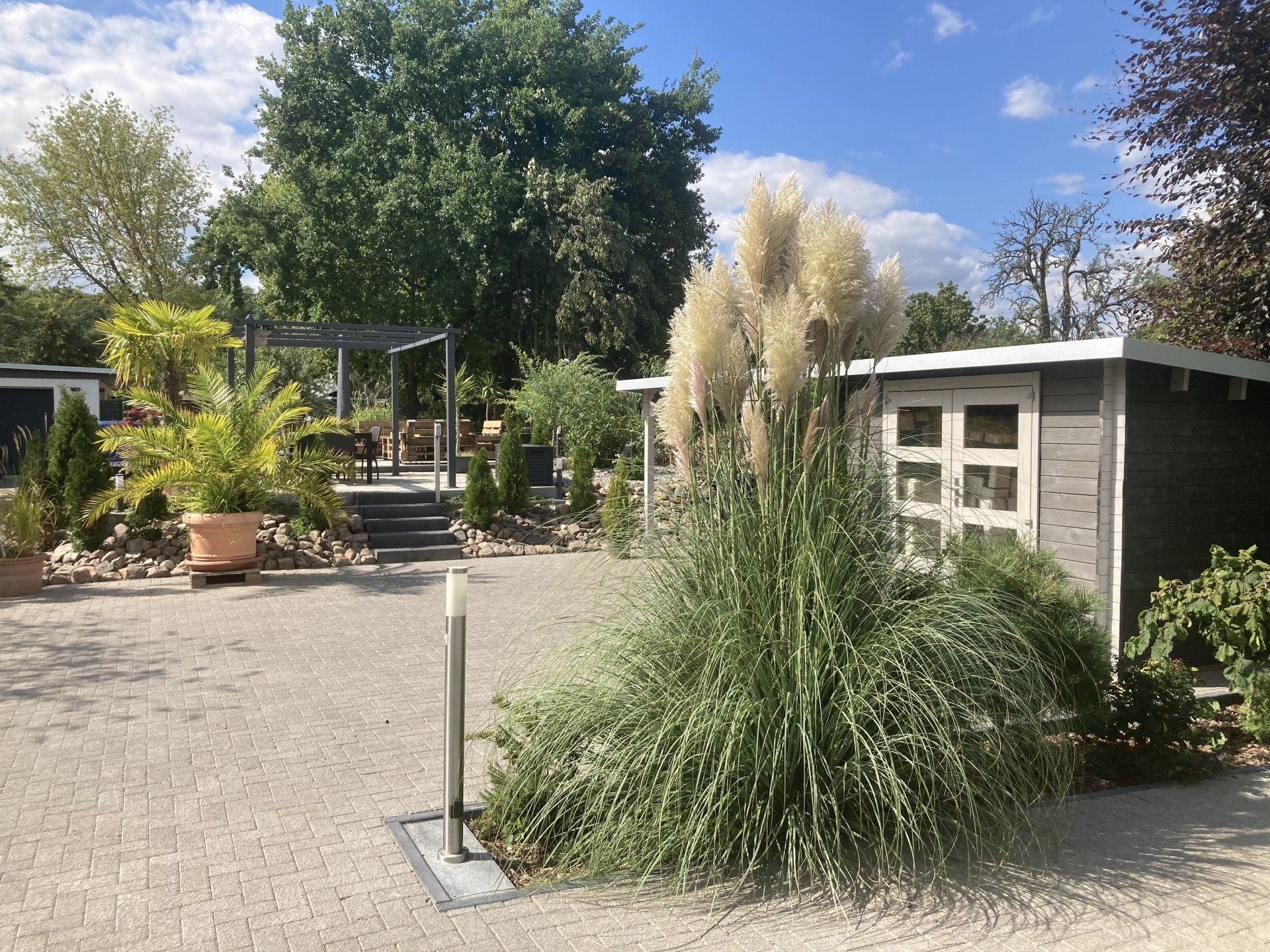 Ein Schuppen ist von hohem Gras und Bäumen in einem Garten umgeben