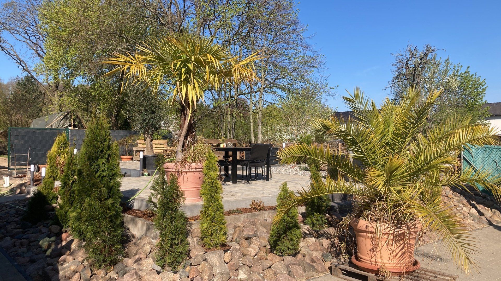 Ein Garten mit vielen Topfpflanzen und Bäumen und einem Picknicktisch.