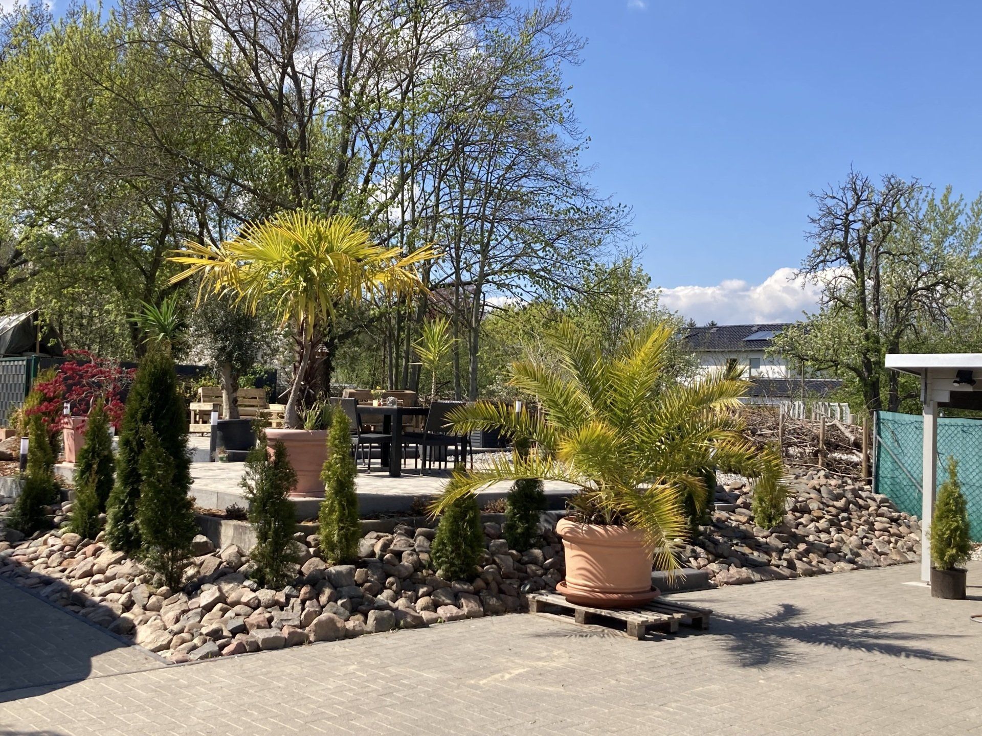 Ein Garten mit vielen Topfpflanzen und Bäumen