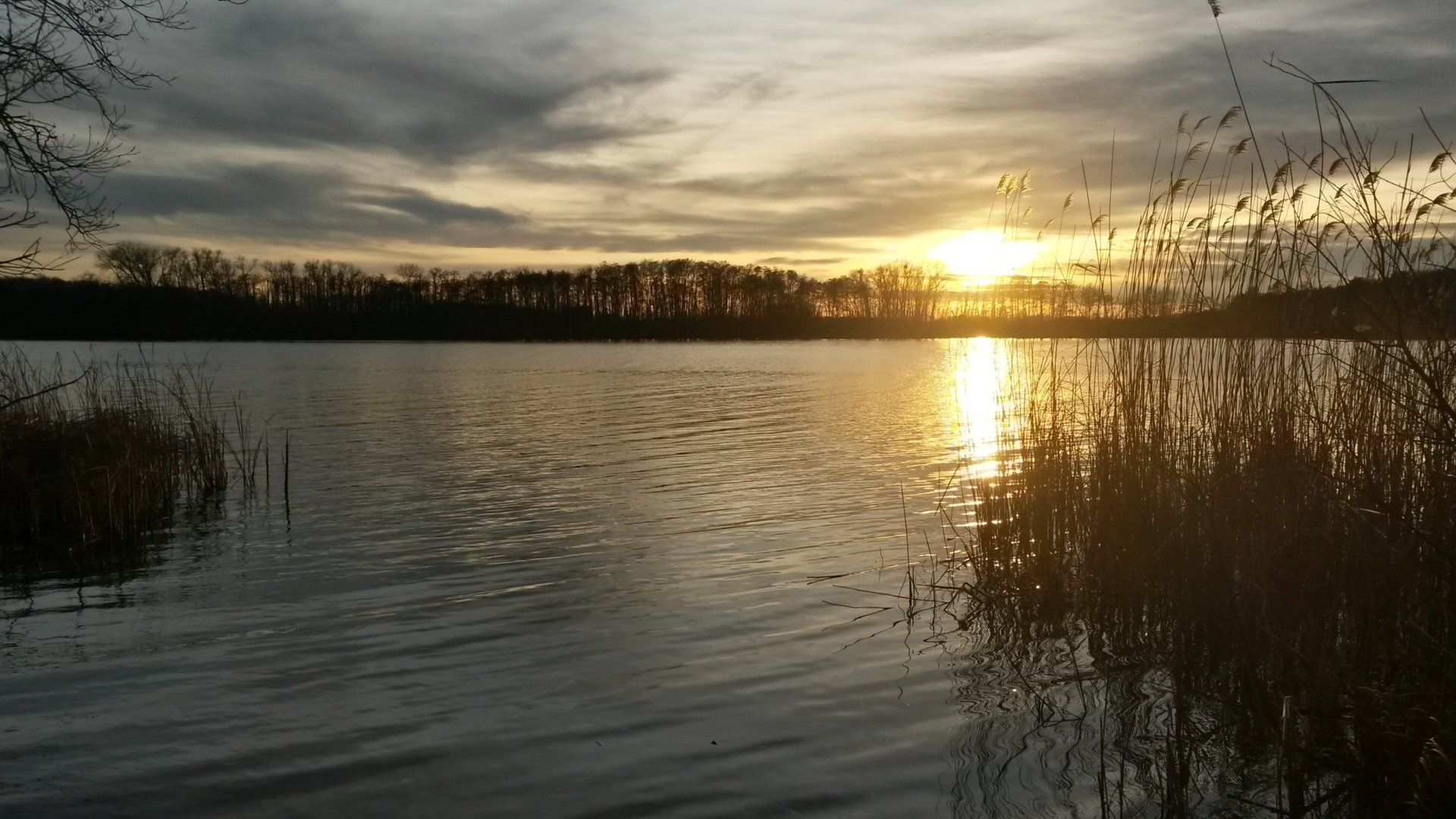 Die Sonne geht über einem See mit hohem Gras im Vordergrund unter