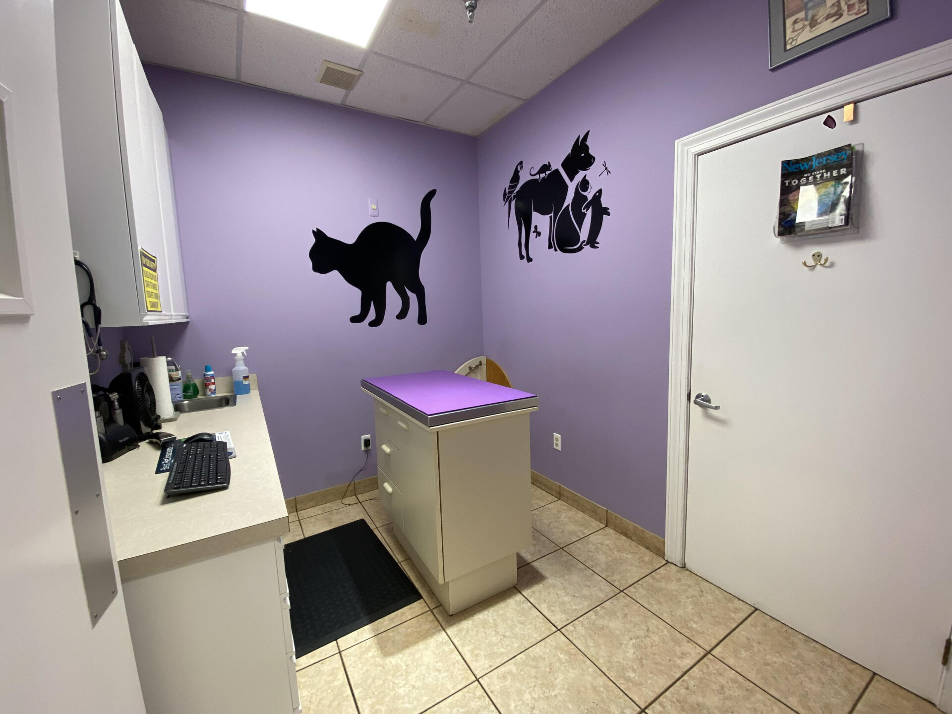 Innovative Pet Care Freehold, NJ Raintree Veterinary Hospital