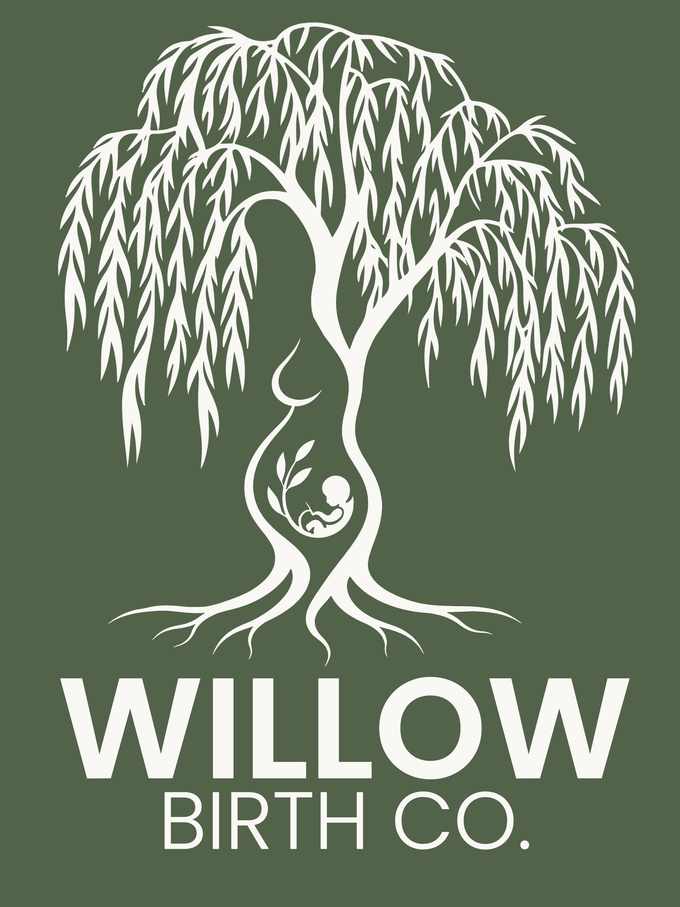 White willow tree logo with pregnant silhouette above the text “WILLOW BIRTH CO.”