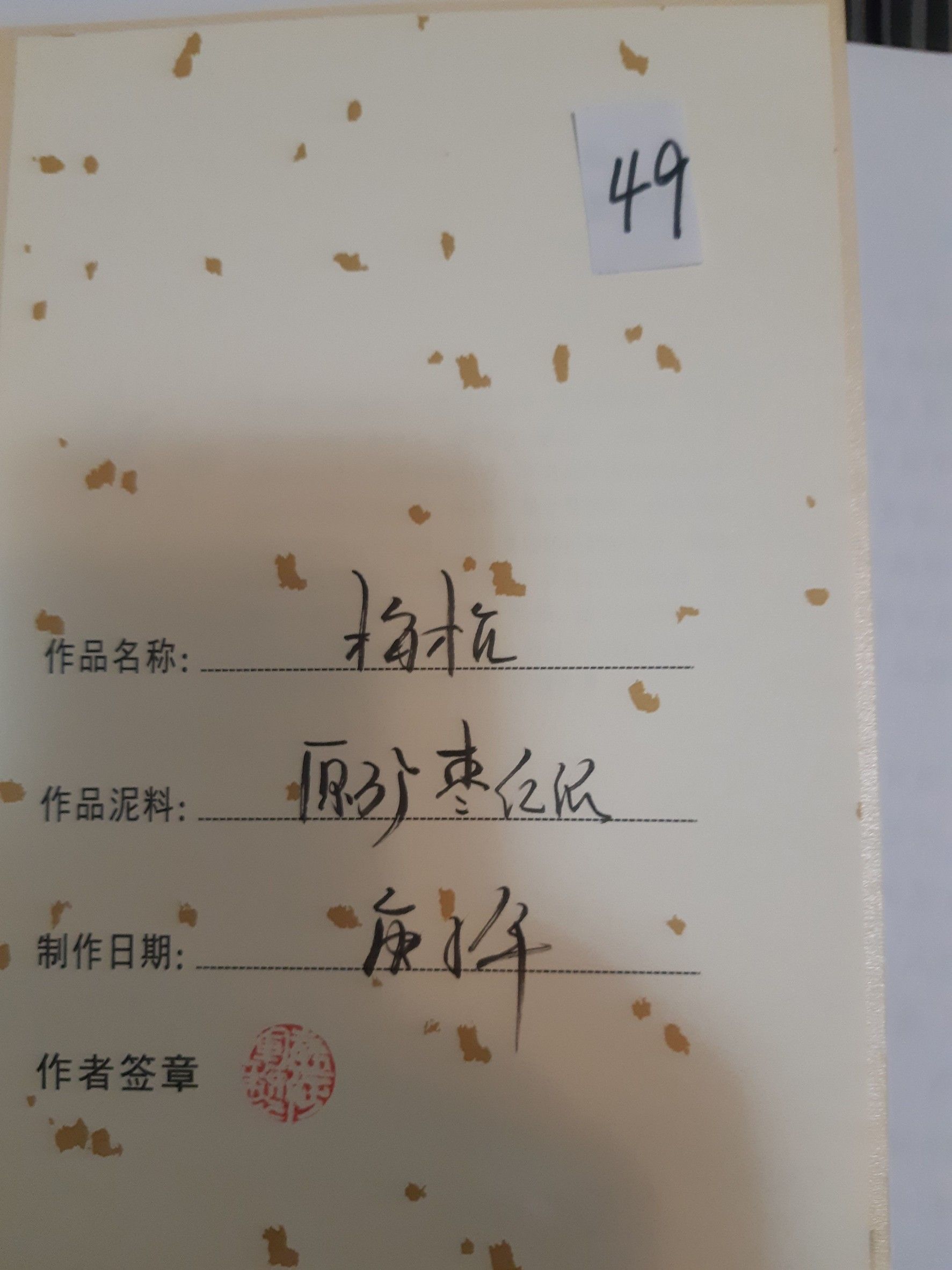 49袁征軍-梅枕