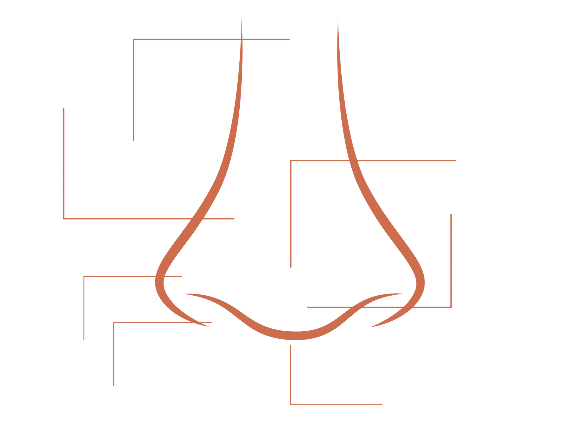 Nose Piercing Graphic