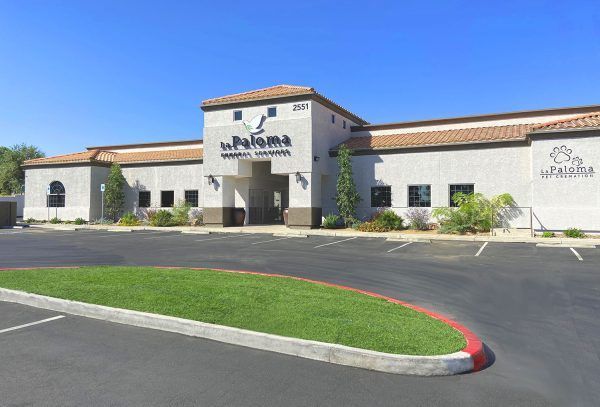 A single-story, tan, Mediterranean-style building named La Paloma Animal Hospital with a large parking lot in front.