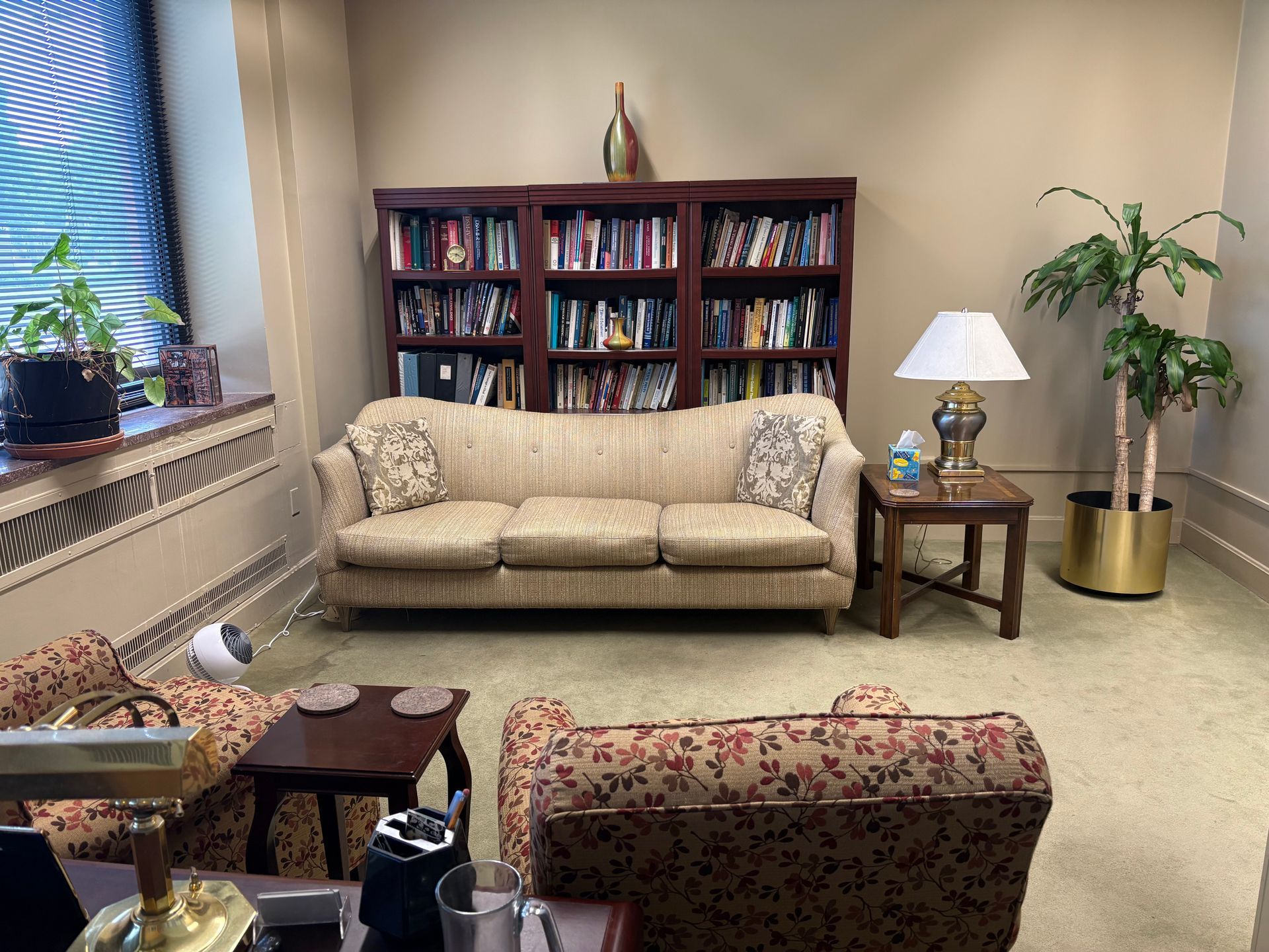 Cozy living room with beige sofa, bookshelf, lamp, potted plant, and patterned chairs near a window