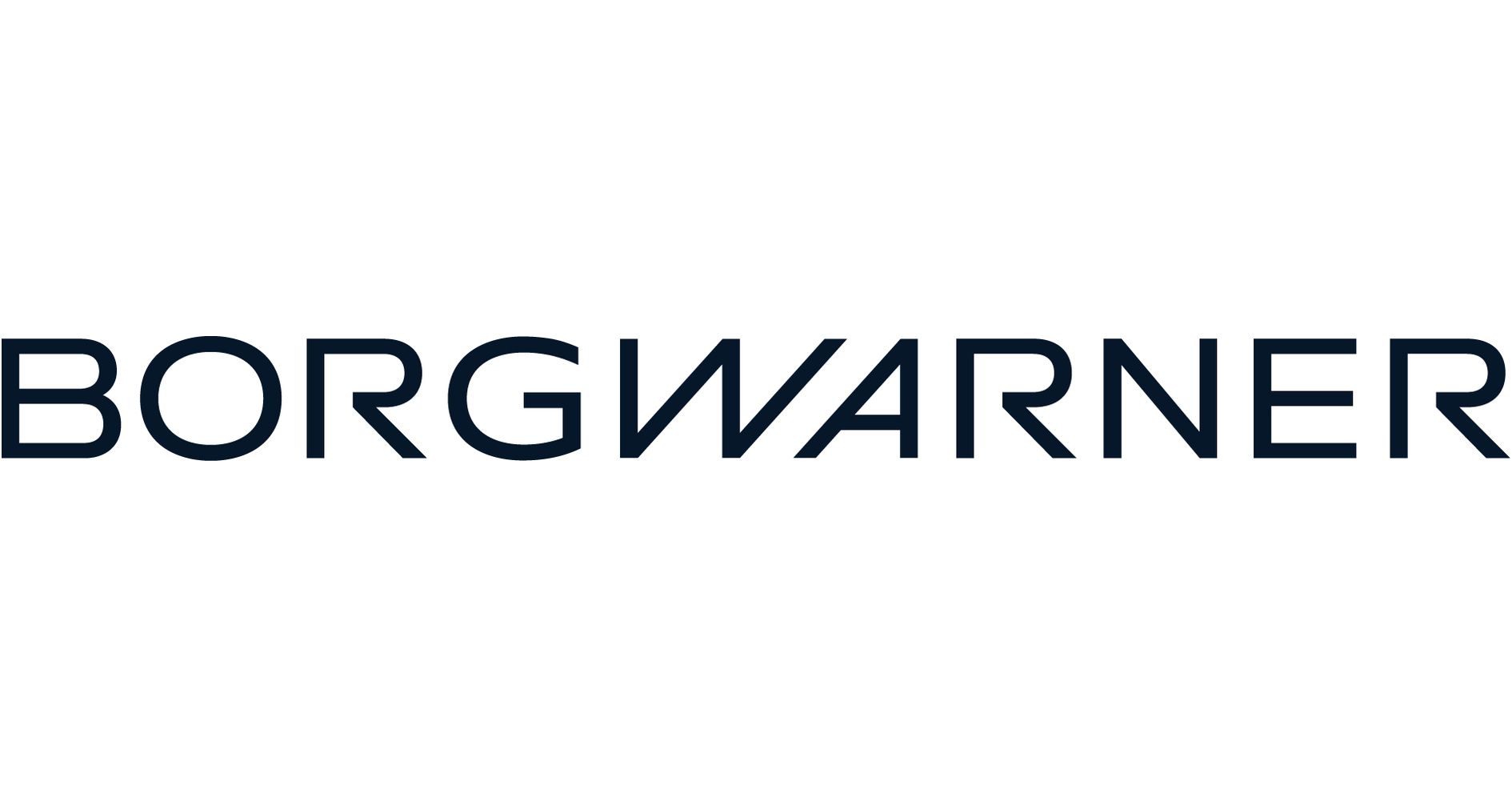 The borgwarner logo is blue and white on a white background.