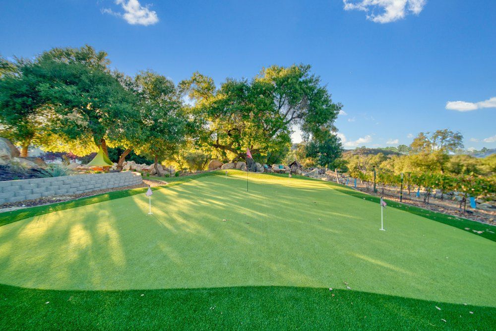 a green golf course with trees in the background on a sunny day.