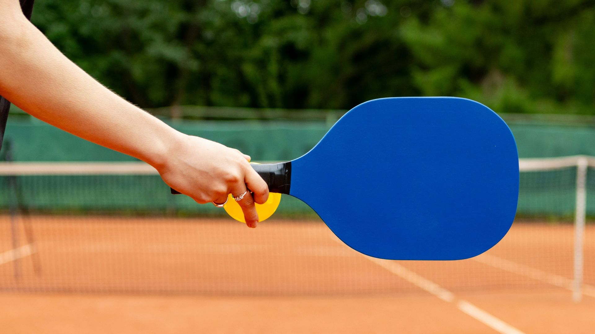 a person is holding a blue pickleball paddle