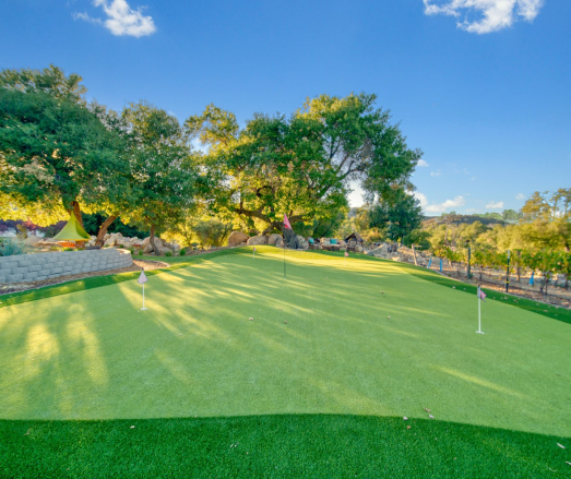 A green golf course with trees in the background on a sunny day.