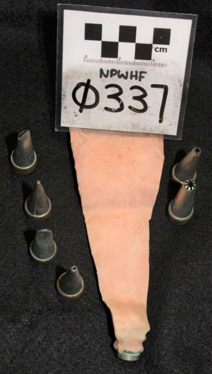 Labeled orange carrot root with measurement tag and small reference objects on a black background