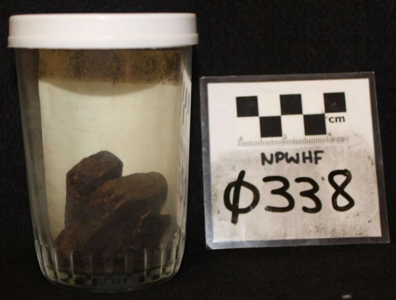 Glass jar with dark rocks beside a labeled scale card marked “NPWHF φ338”