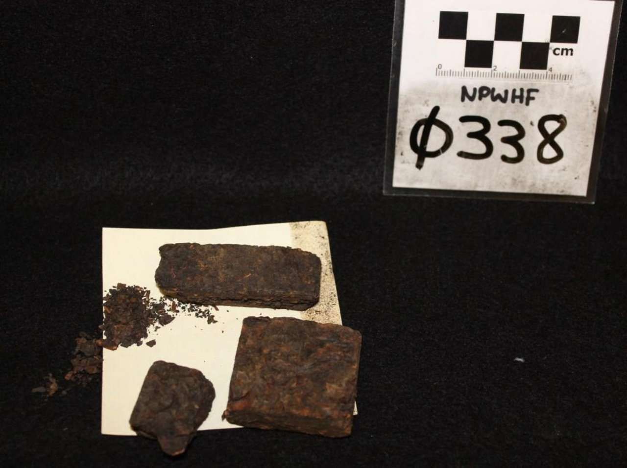 Three dark rock fragments on a white card beside a label reading “φ338.”