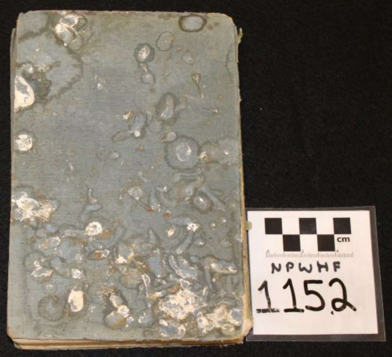 Gray-speckled rectangular rock sample beside a label marked 