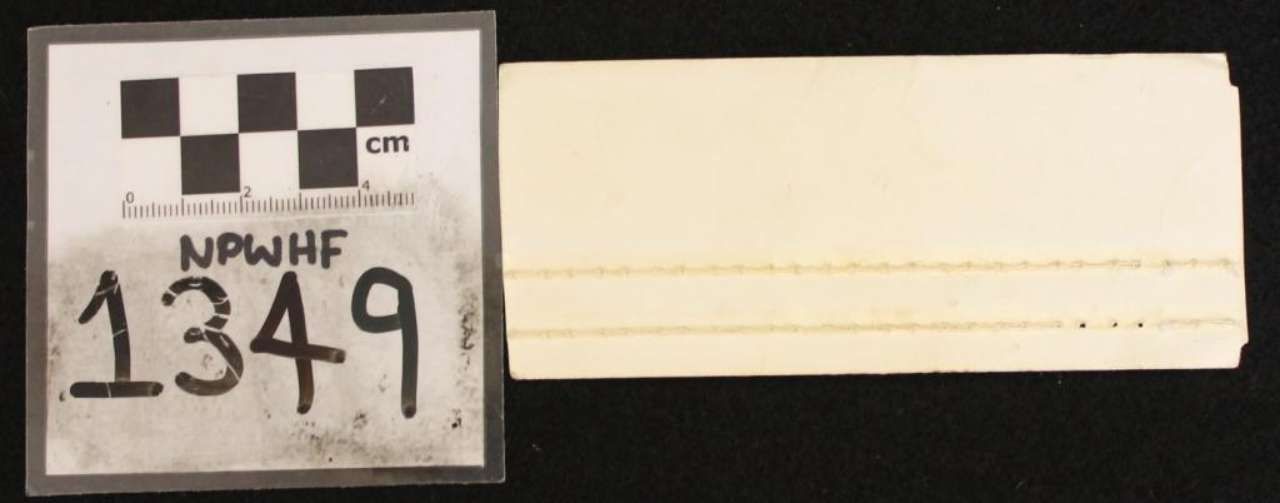 White label tag marked “NPWHF 1349” beside a small scale card and centimeter ruler.