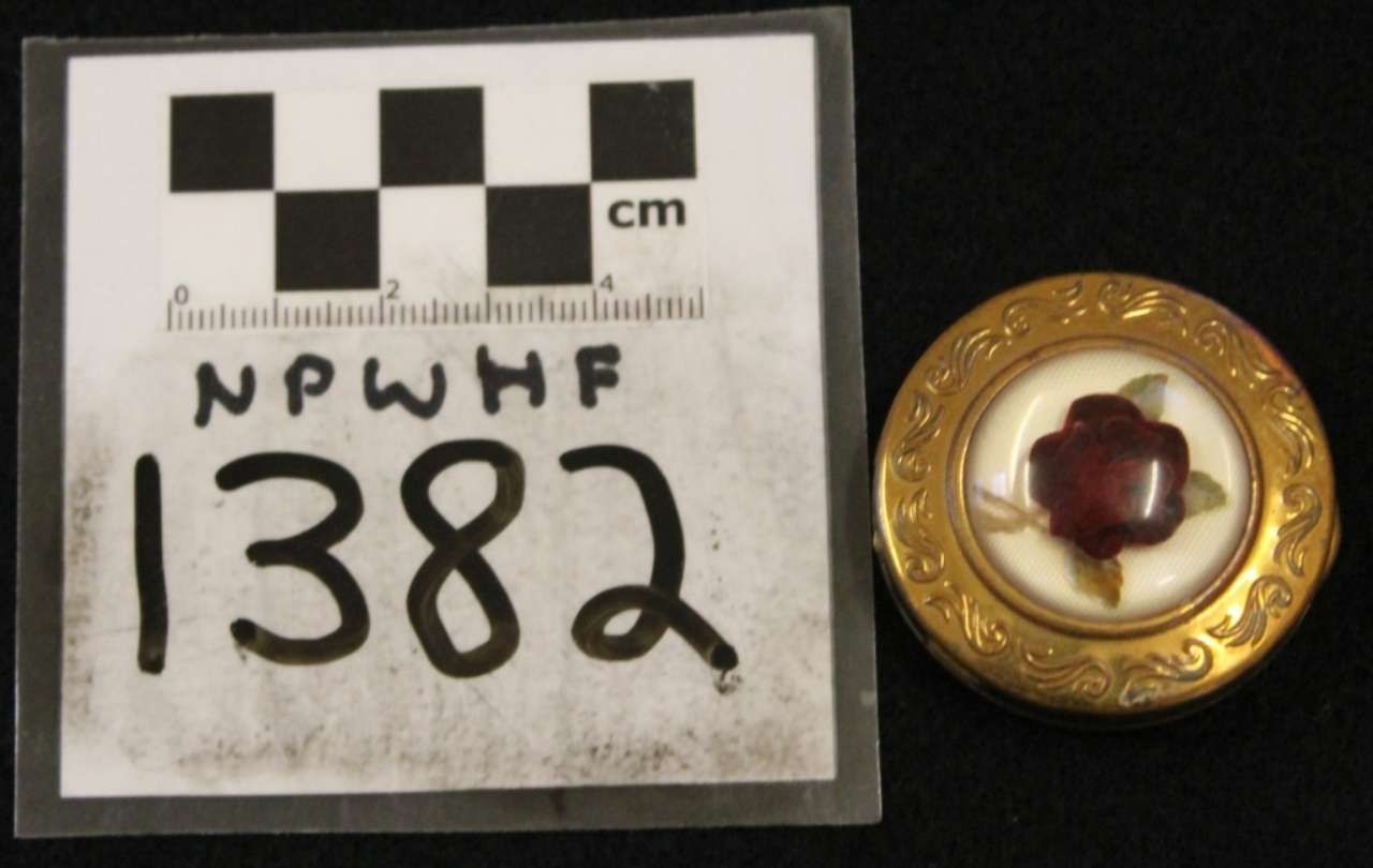 A labeled specimen tag beside a gold ring with a red gemstone center.