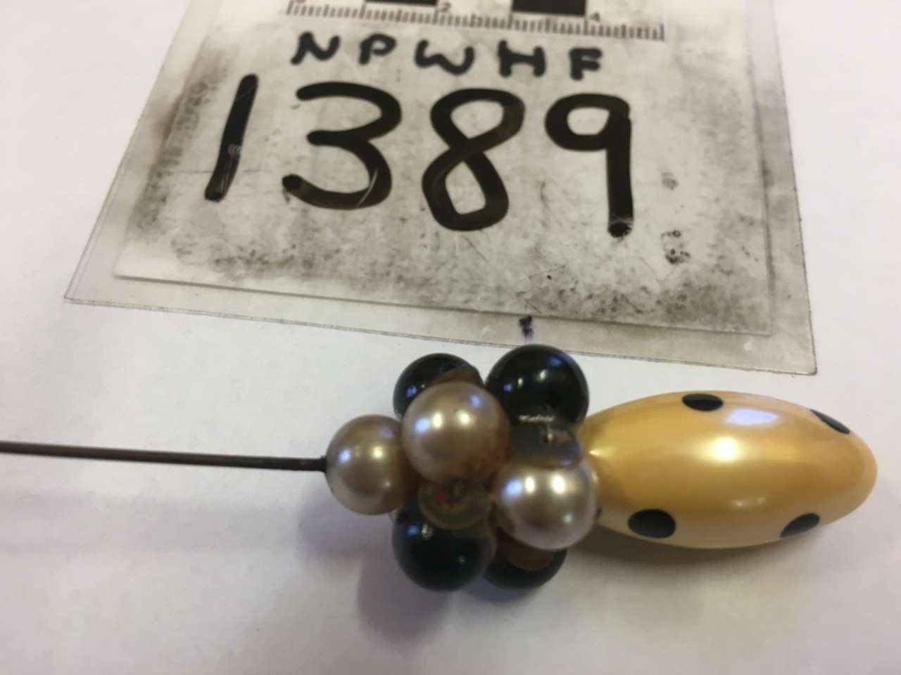 Black-and-yellow bee with a numbered tag, beside a handwritten label reading 1389