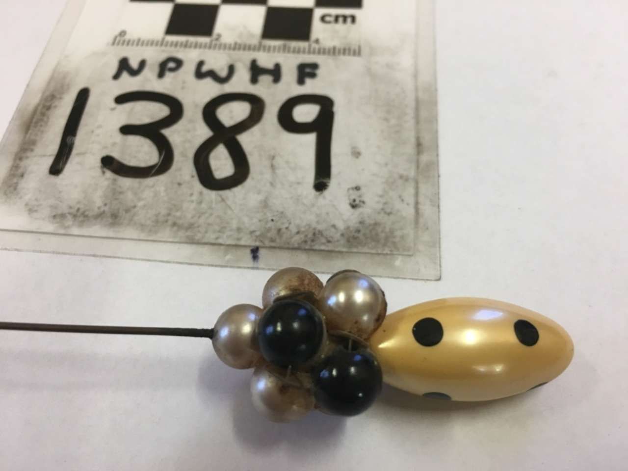 Tag marked “NPWH 1389” beside a yellow, black-spotted bead bug on a pin