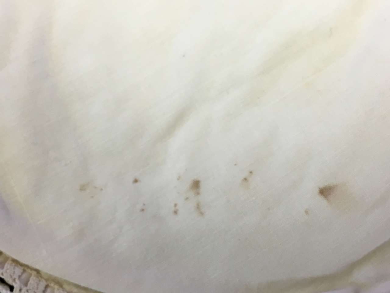 Close-up of a white curved surface with a few small brown specks near the bottom edge