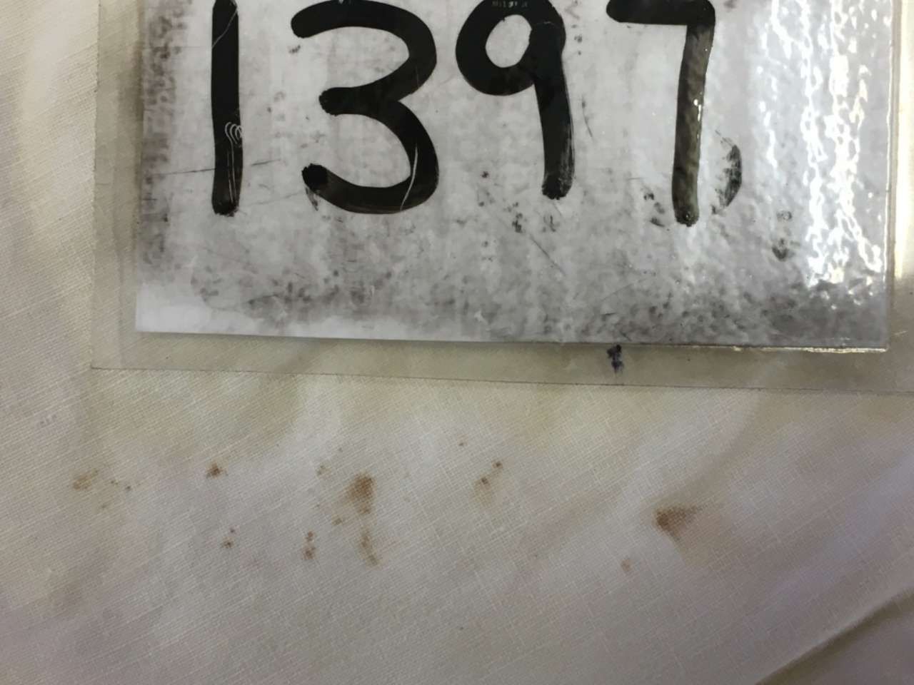 Close-up of a white label with handwritten black number “1397” on a pale surface.