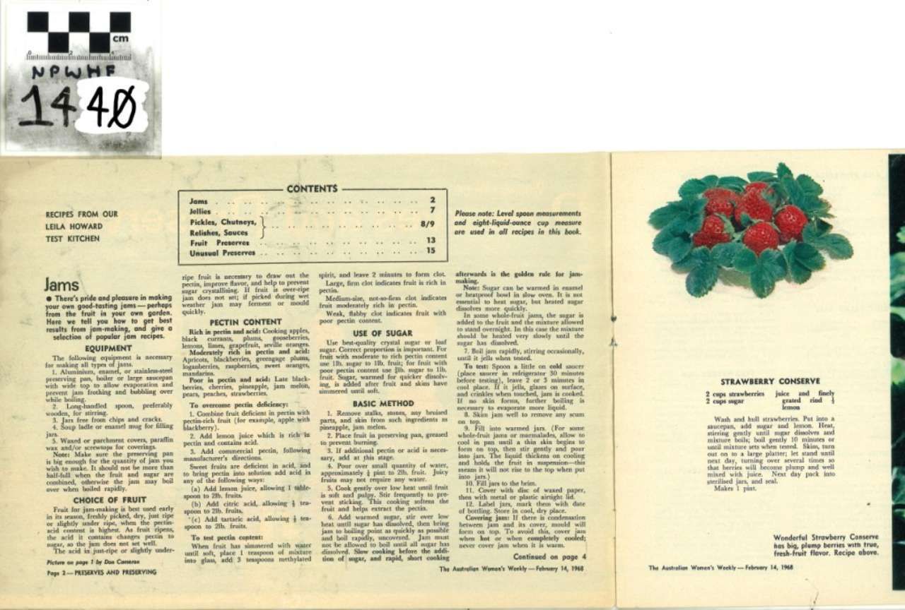 Open magazine spread with text columns and a floral illustration of red and green blossoms