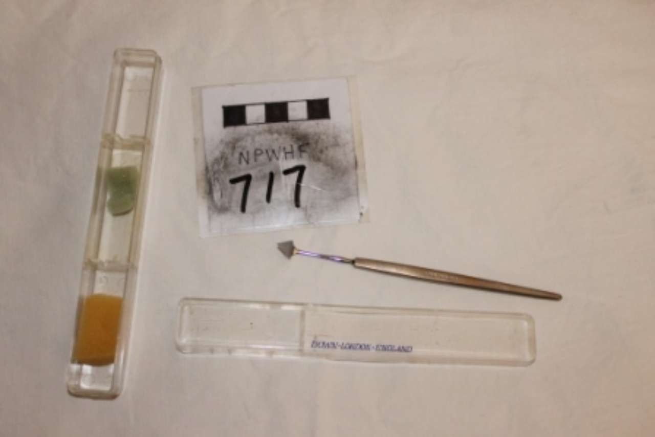 Lab setup with test tube, labeled bag, forceps, and a clear slide on a white surface
