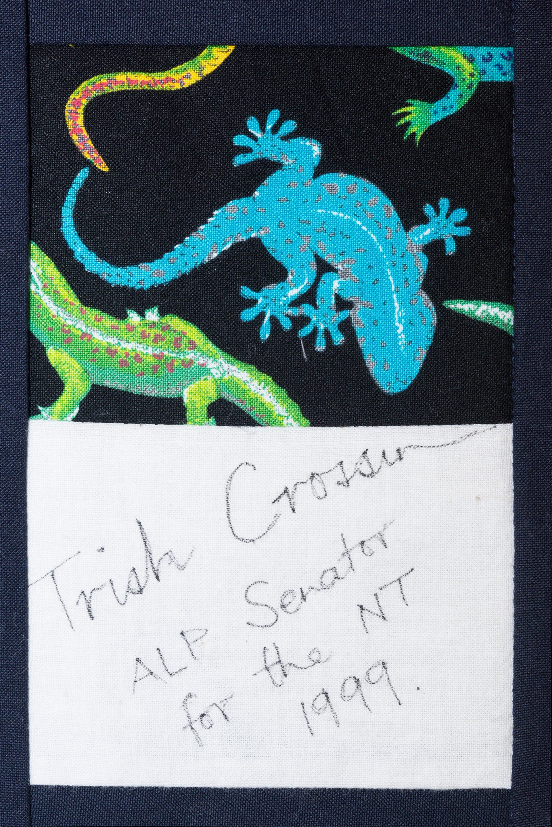 Colorful gecko on dark fabric above a handwritten label on white paper