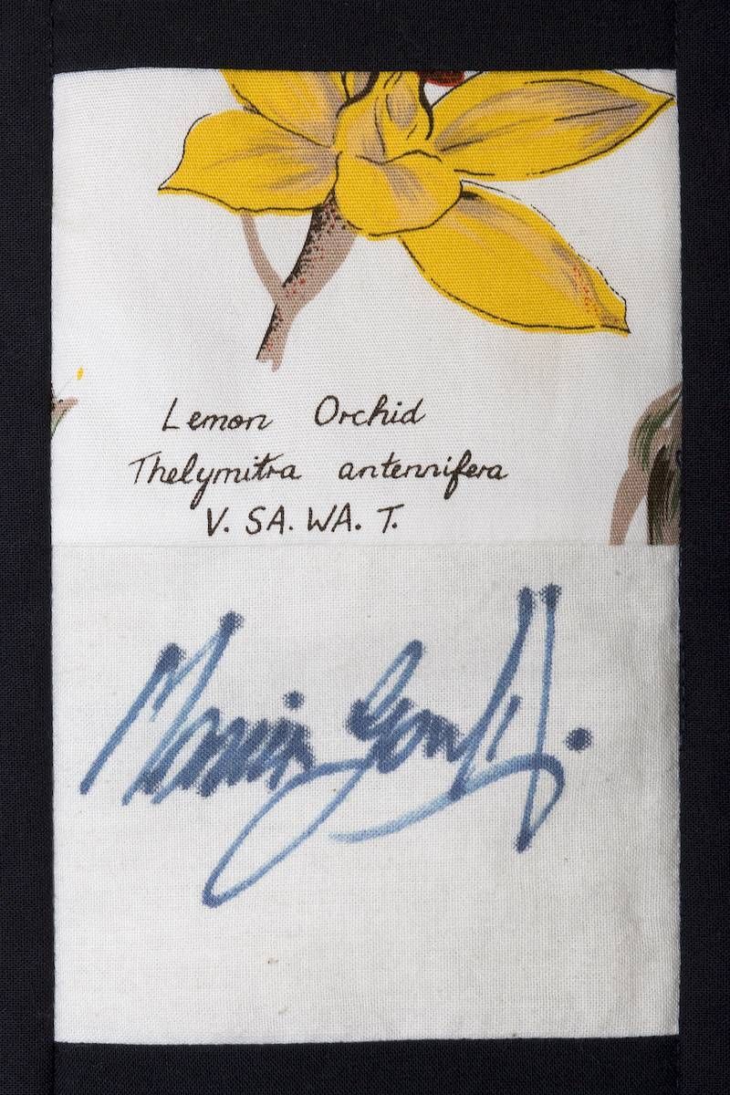 Pressed yellow flowers with handwritten label and blue signature on white paper