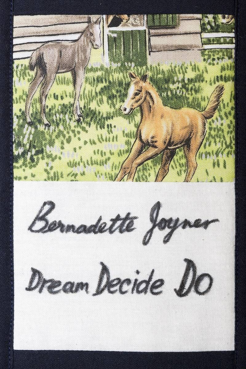 Bernadette Jouner “Dream Decide Do” with two horses in a grassy paddock