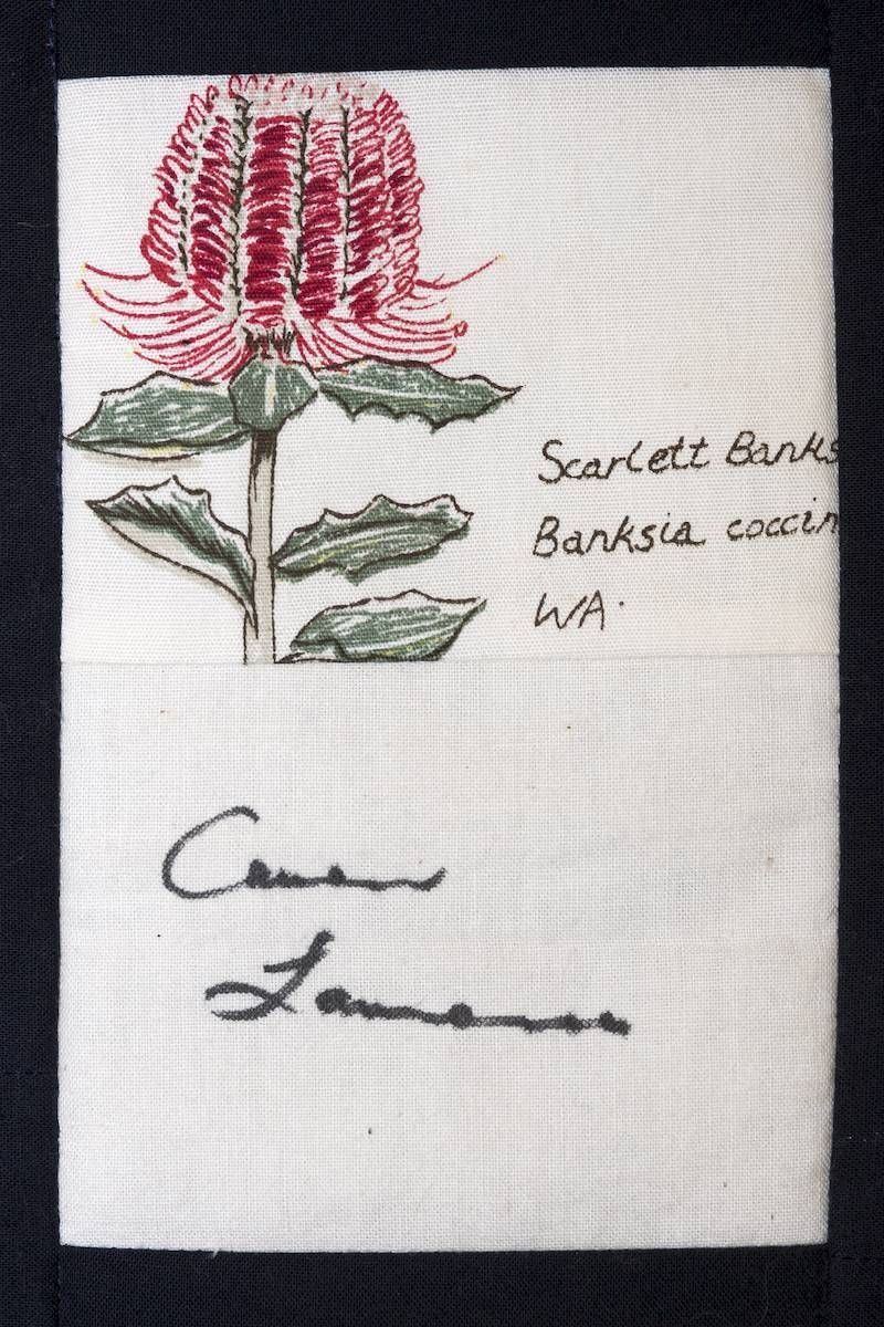 Hand-drawn red Banksia flower with green leaves and handwritten label on white paper