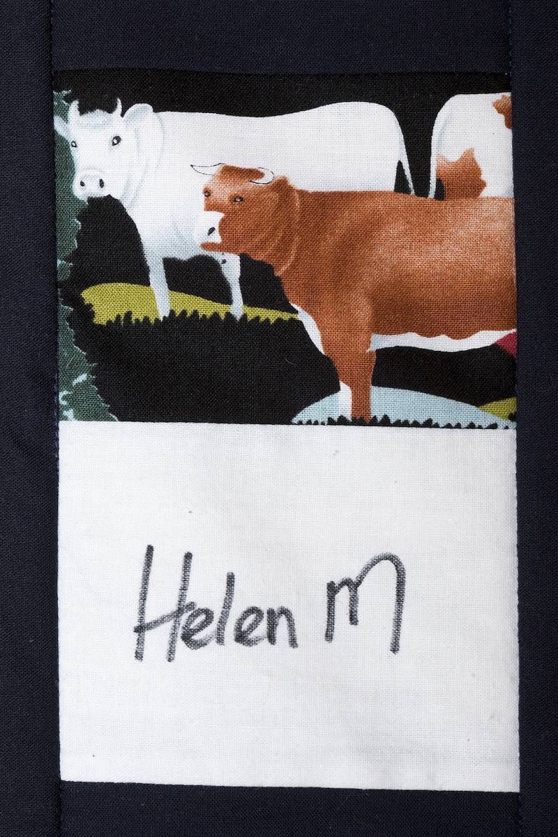 White and brown cows in a field above a label reading “Helen M”