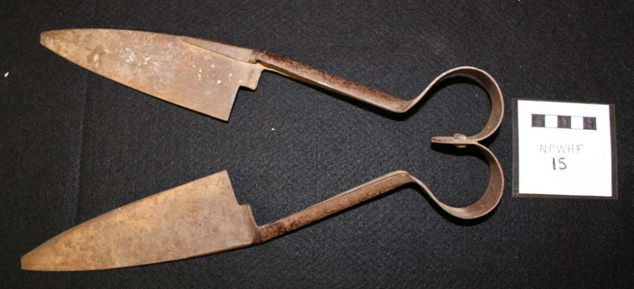 Rusty antique metal shears with two curved handles and wide triangular blades on a black background