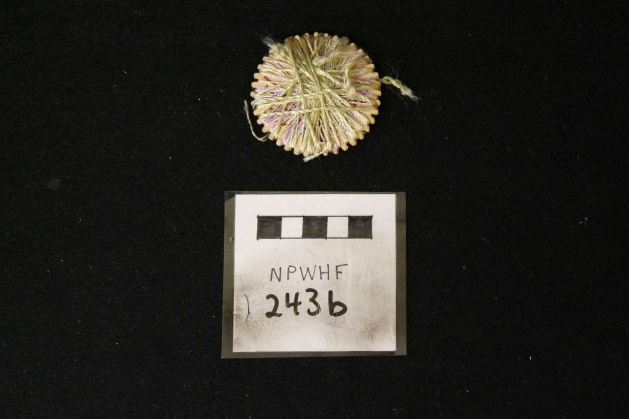 Small round beige shell-like specimen above a labeled tag on a black background.