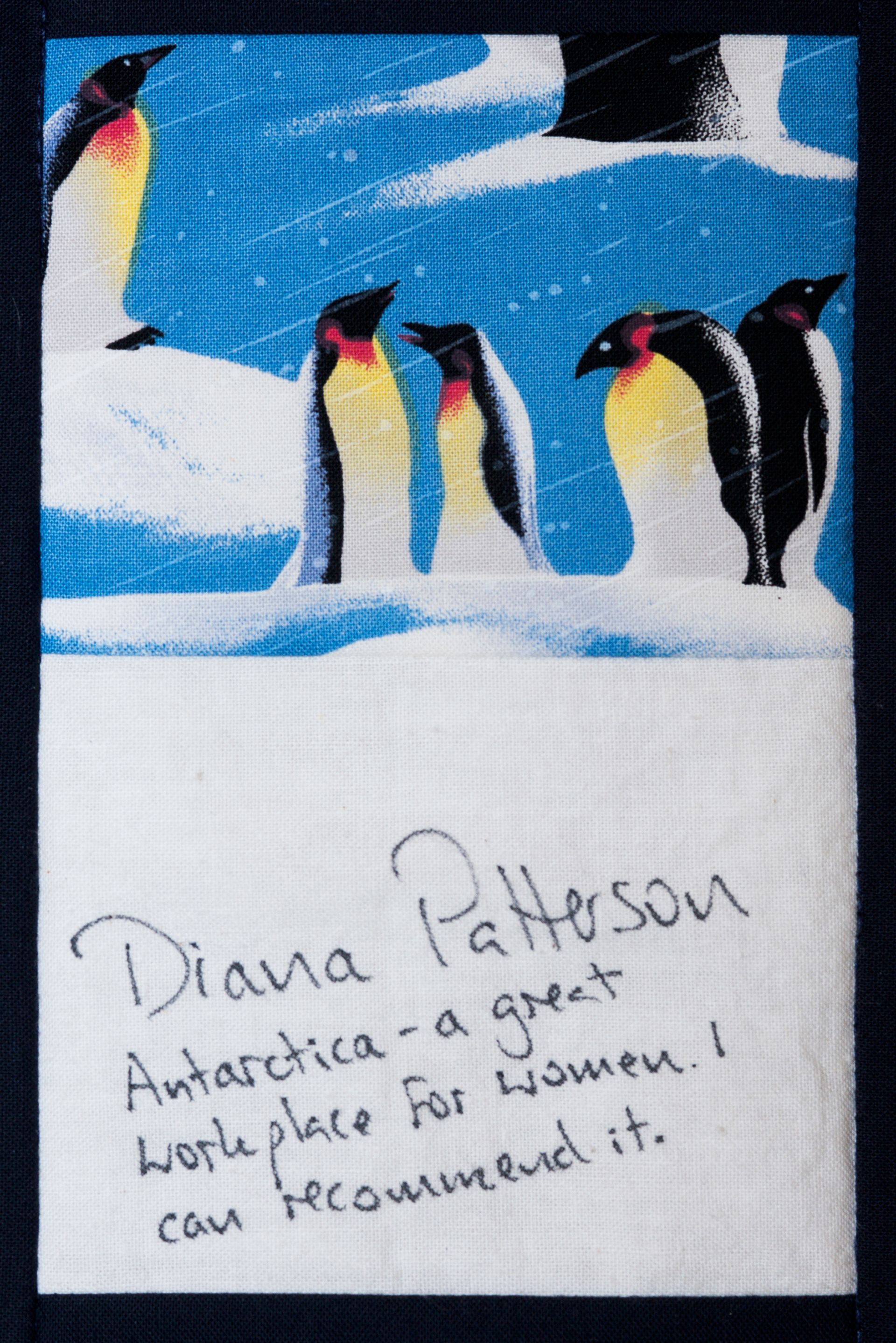 Penguins on icy shore above handwritten note reading “Diana Patterson” and “Antarctica – a great hope for women; I can recommend it.”