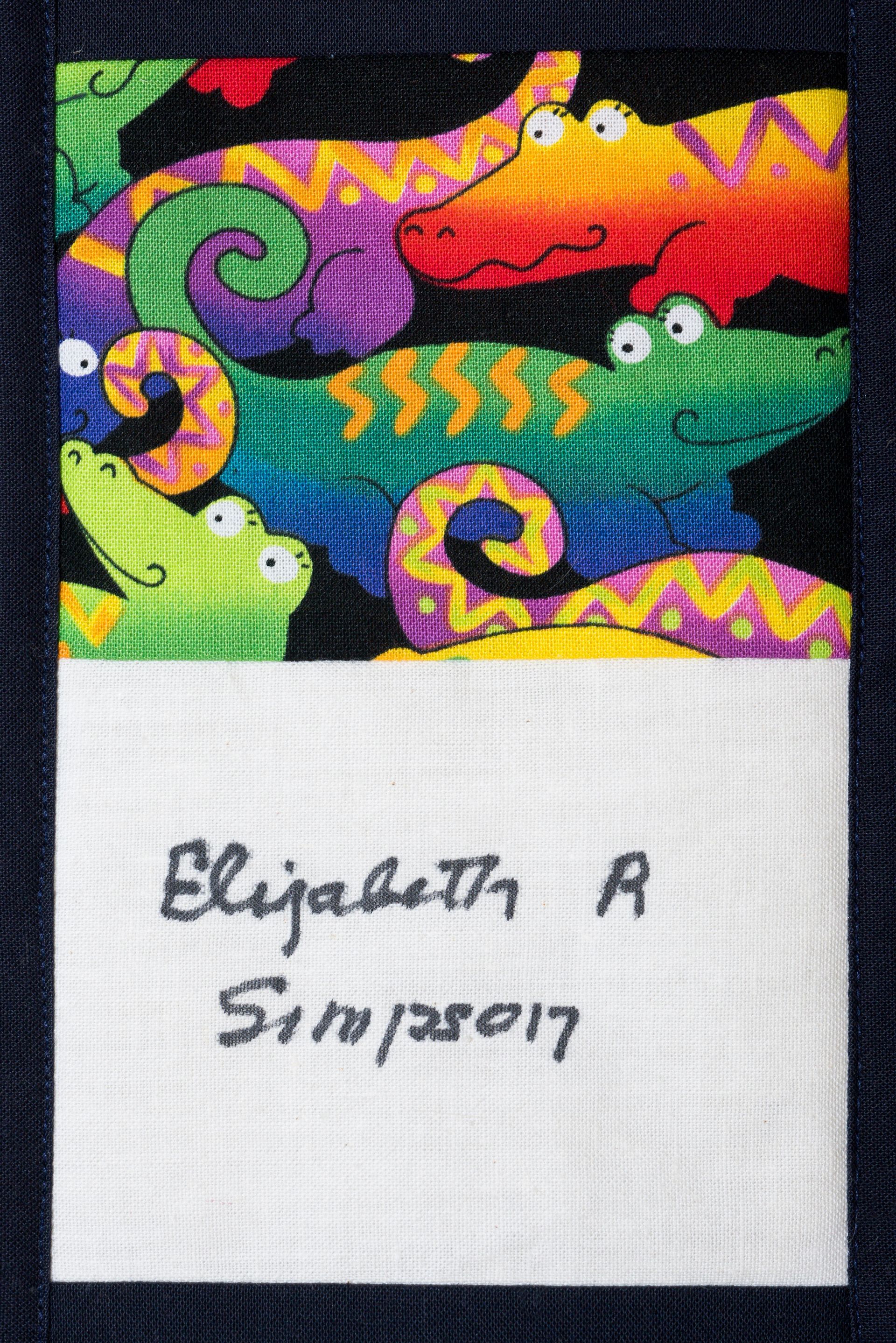 Colorful chameleon art above a white label reading “Elizabeth A” and “5/13/2017”