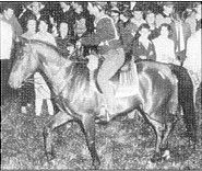 A rider on a horse in a crowded outdoor scene, with spectators gathered behind.