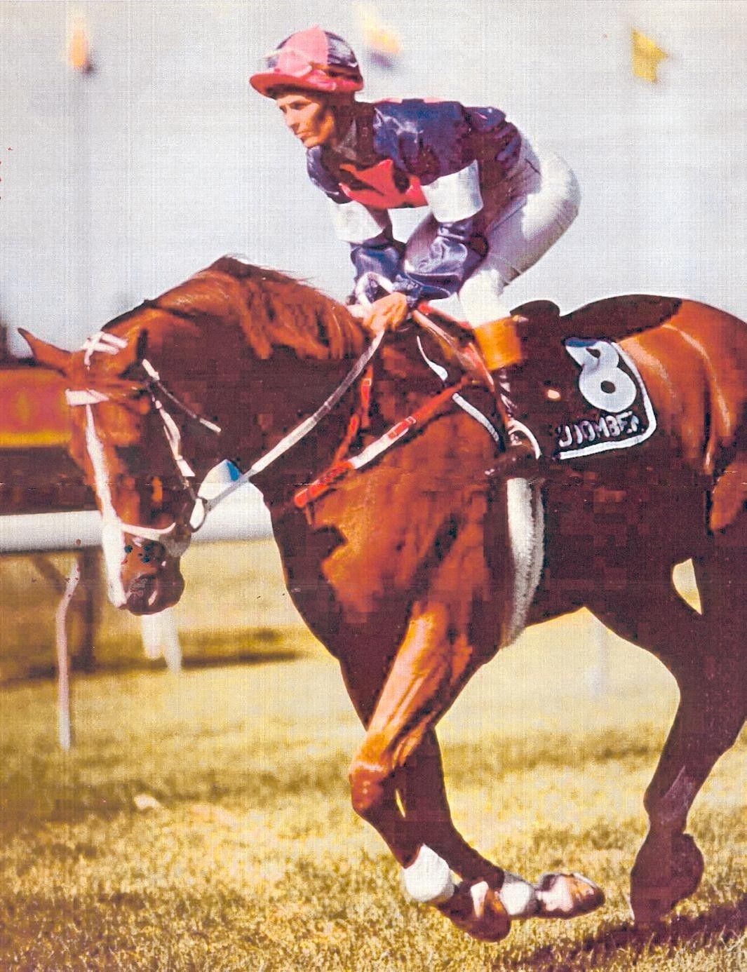 Jockey in red and purple riding a brown racehorse on a track during a race