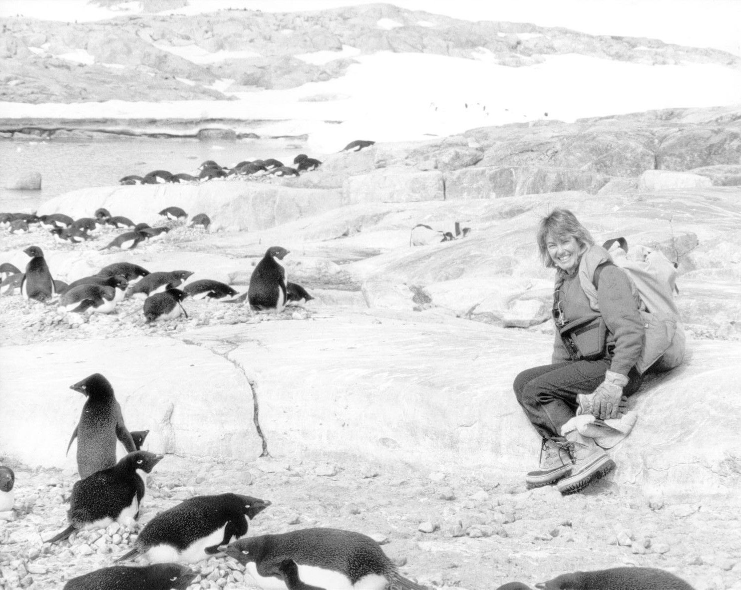 Person sitting among penguins in a snowy Antarctic landscape.