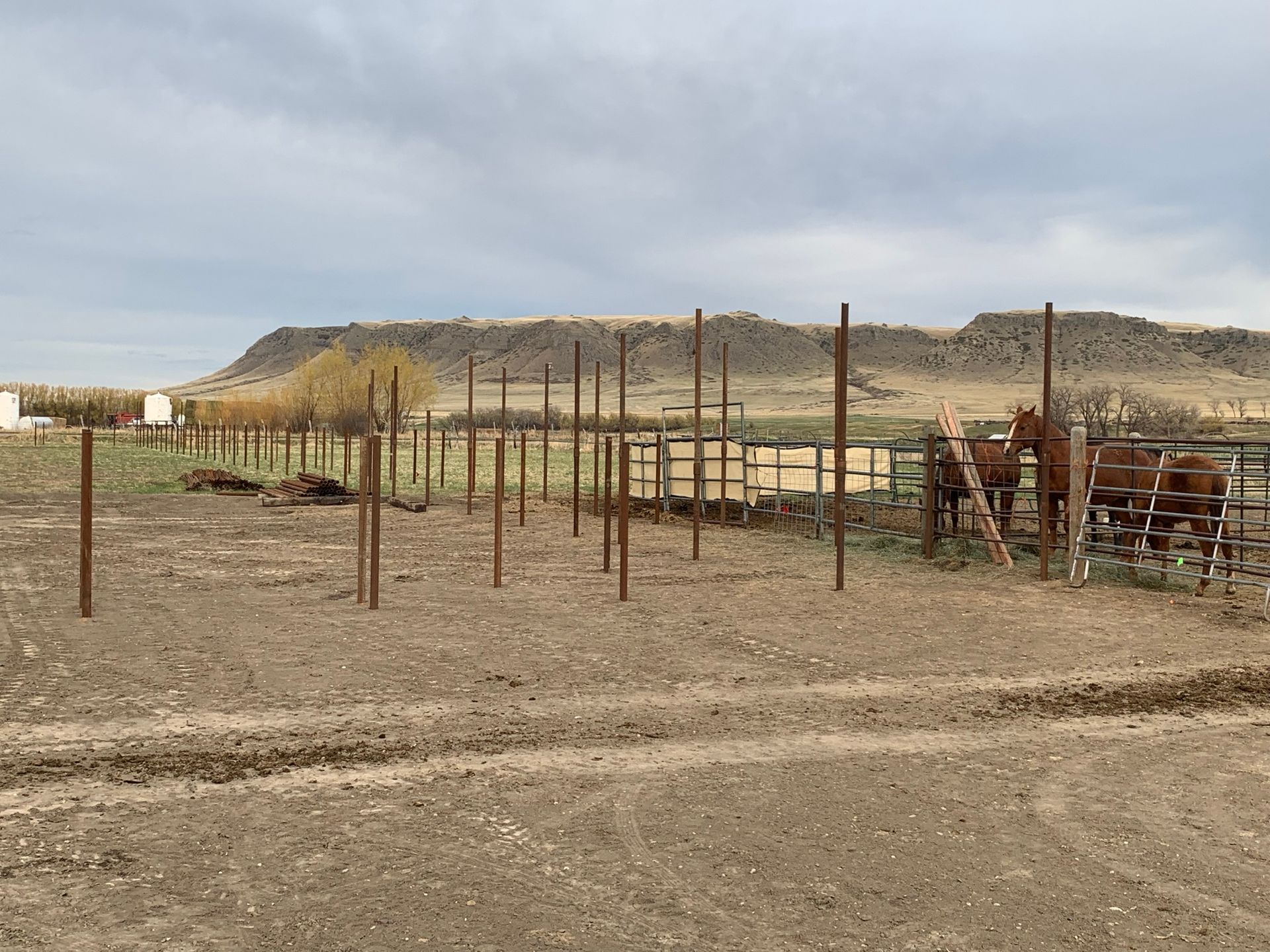 Two horses stand inside a rural fenced paddock with dirt ground under a cloudy sky and distant rocky hills.