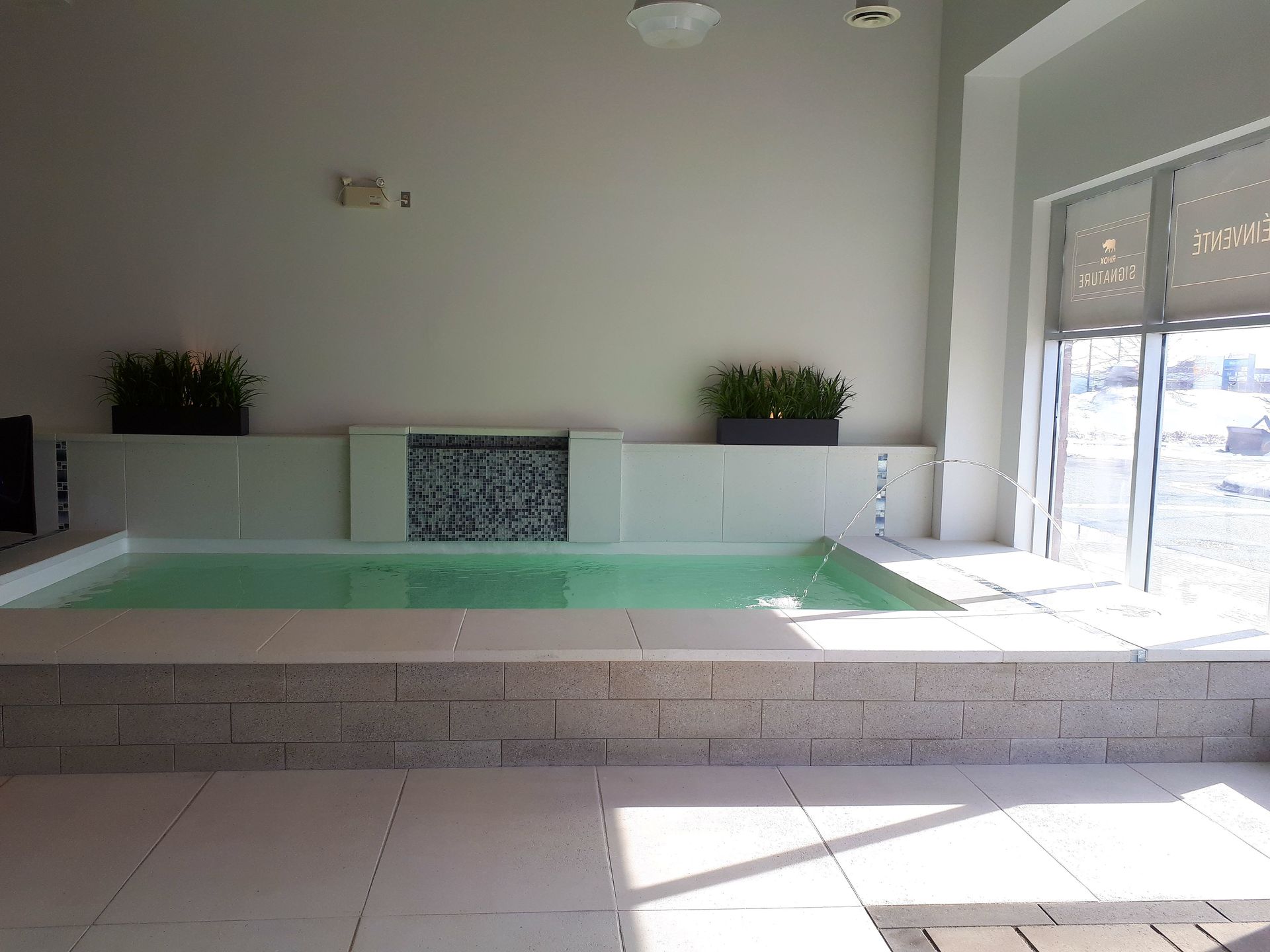 Une piscine intérieure rectangulaire avec un petit point d'eau, encadrée de carreaux de pierre et de deux plantes en pot contre un mur nu.