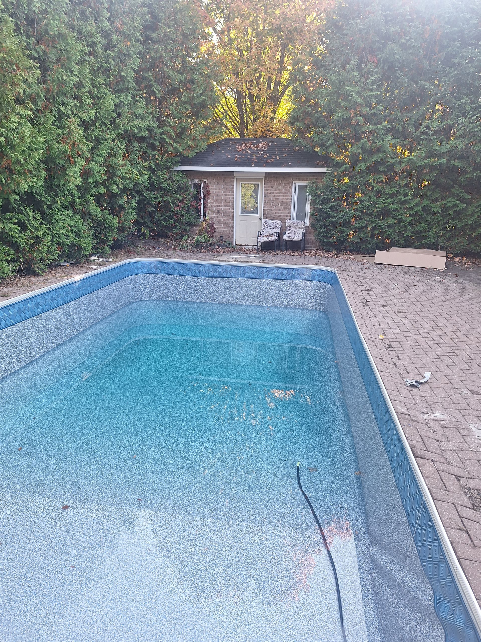 Une piscine rectangulaire bleue entourée d'une terrasse en briques, avec un petit abri niché derrière de hautes haies.